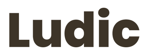 Ludic